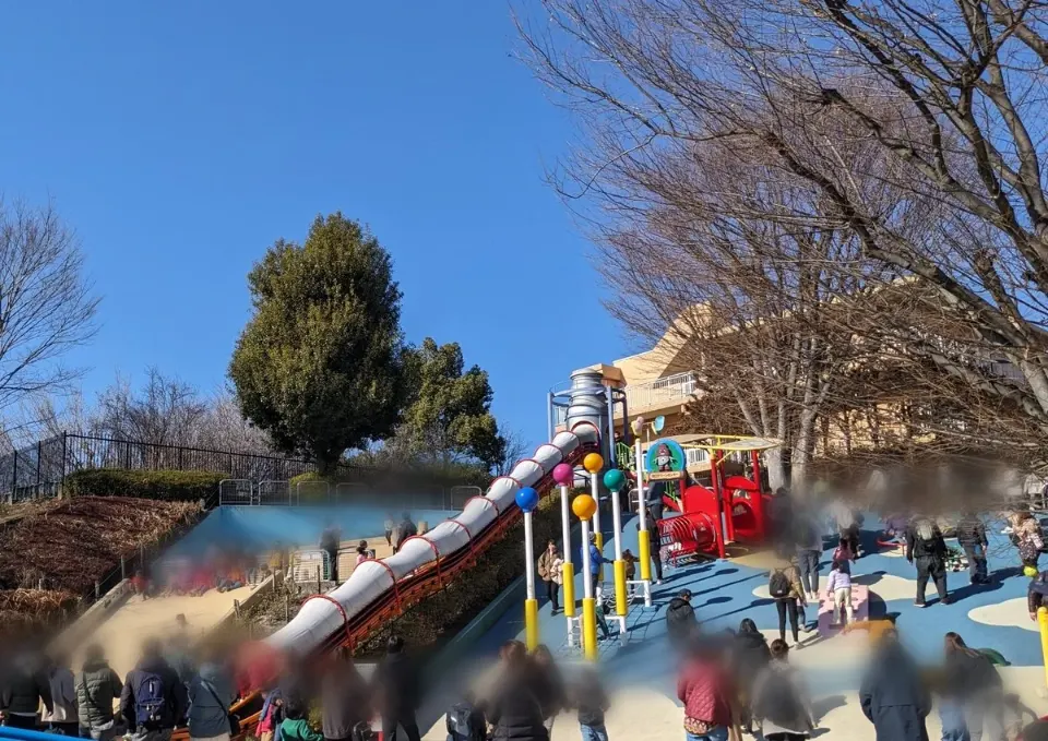 木々の間に並ぶ長い滑り台と複合遊具