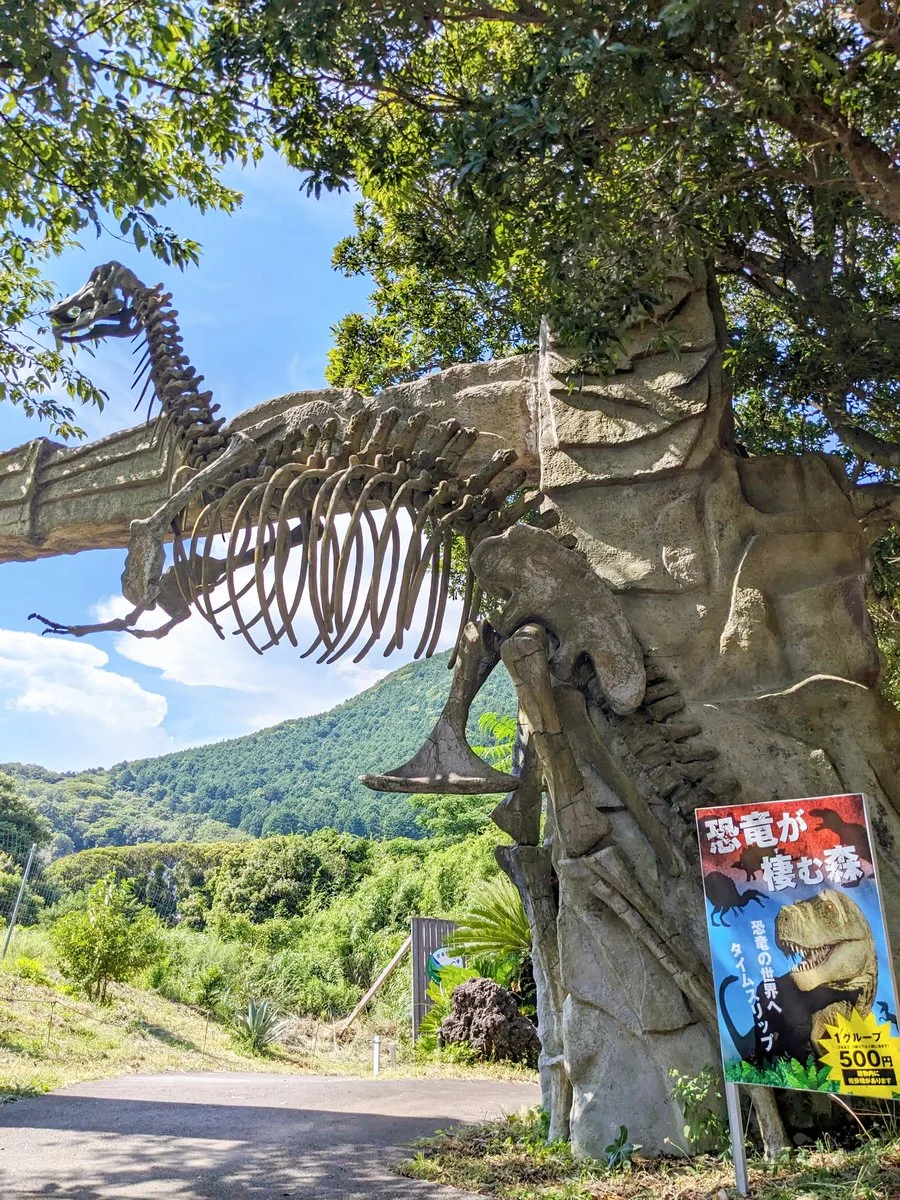 恐竜の骨格模型