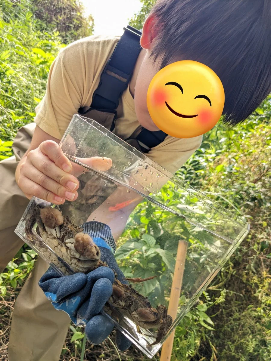 透明な観察ケースを持つ子ども