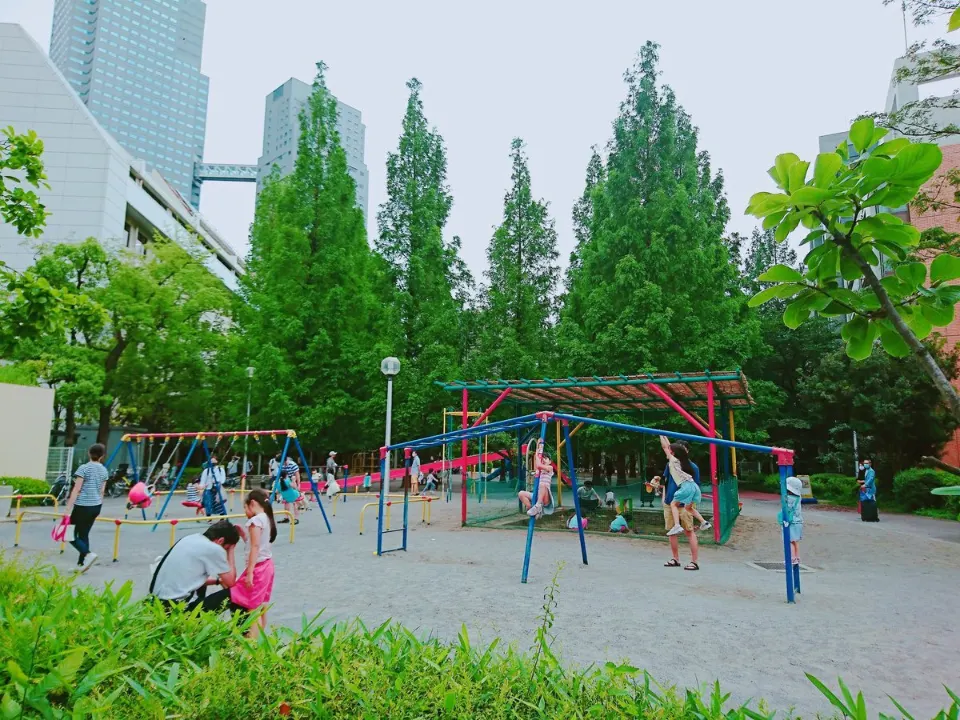 緑に囲まれた公園のブランコ