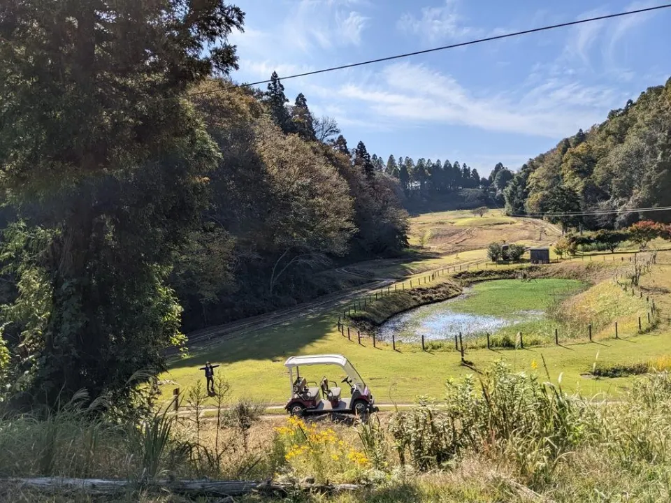 木々に囲まれた芝生と池