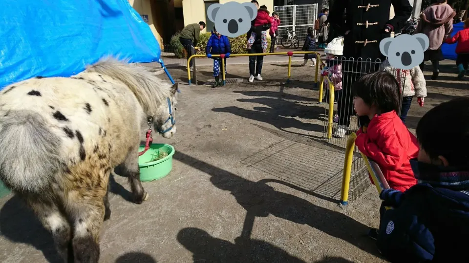 雪まつりで馬を間近に見る子ども