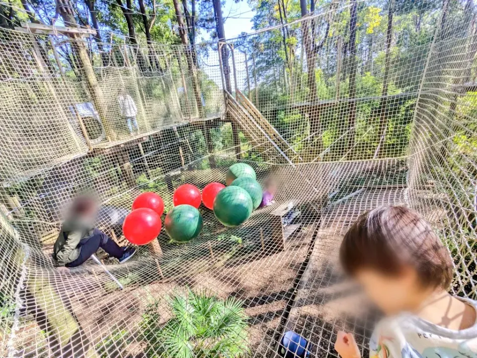 大きなボールで遊べるネットエリア
