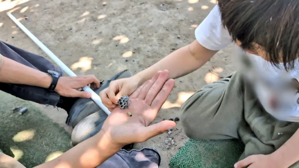 クルーが手のひらにのせたものを子どもと観察する様子