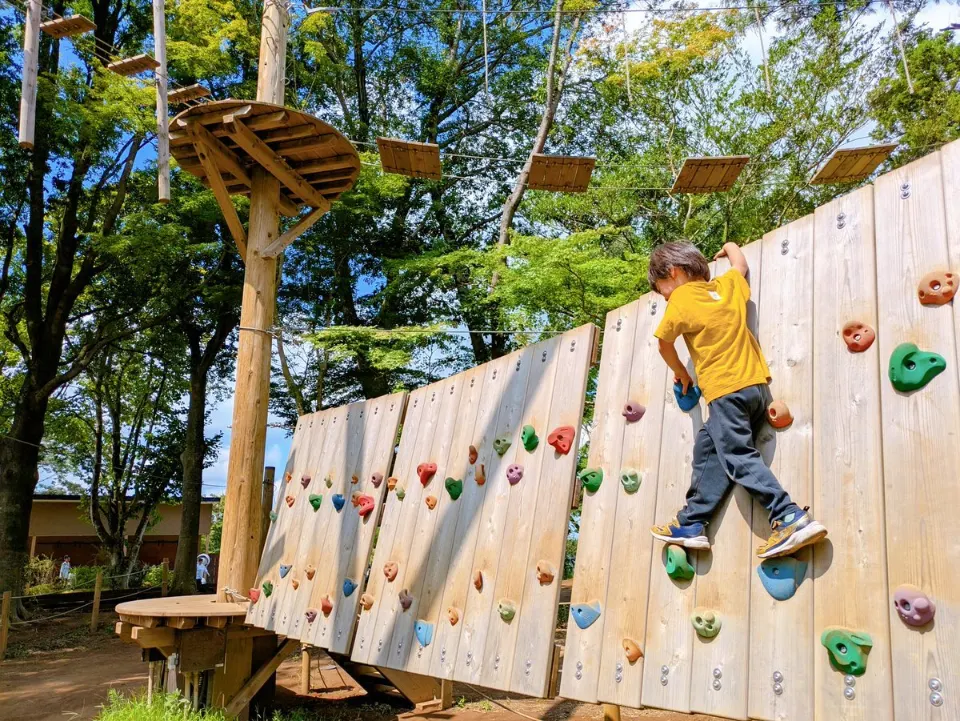 カラフルなホールドの壁を登る子ども