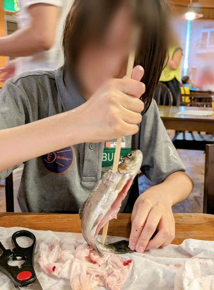 長男、ニジマス掴み＆捌き焼きを毎回してて、3回目には説明なしで素早く捌けるようになりました。成長を実感。