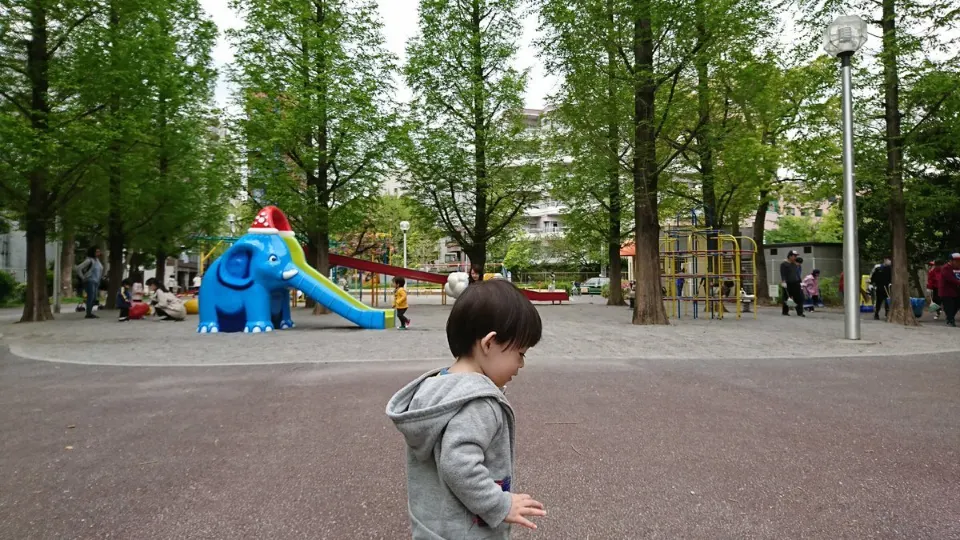 木々に囲まれたあかつき公園の青い滑り台