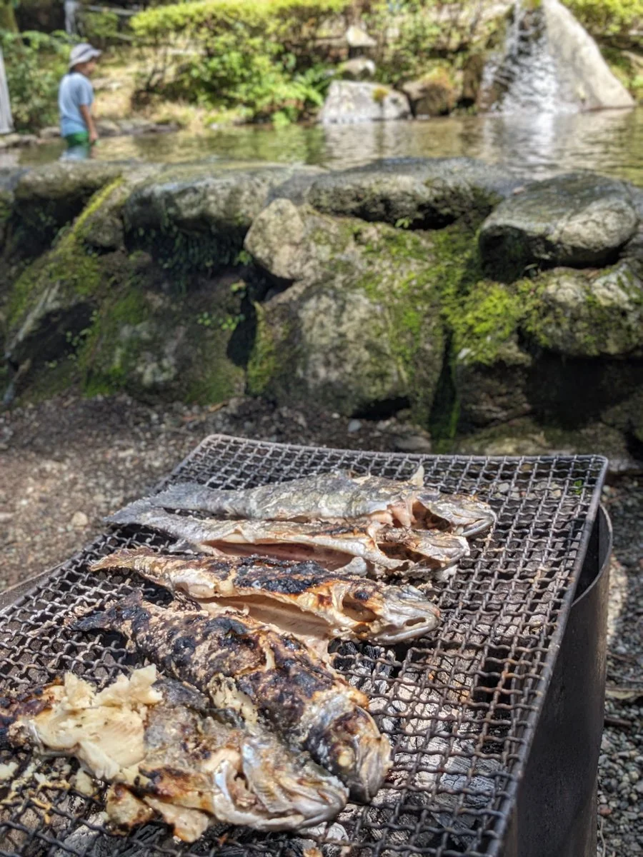 網で焼いているニジマス