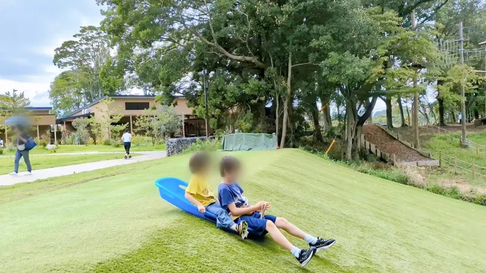 芝生の斜面をそりで滑る子ども
