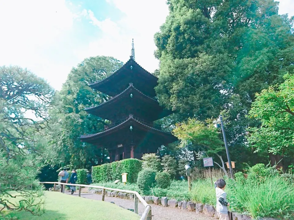 緑に囲まれた三重塔