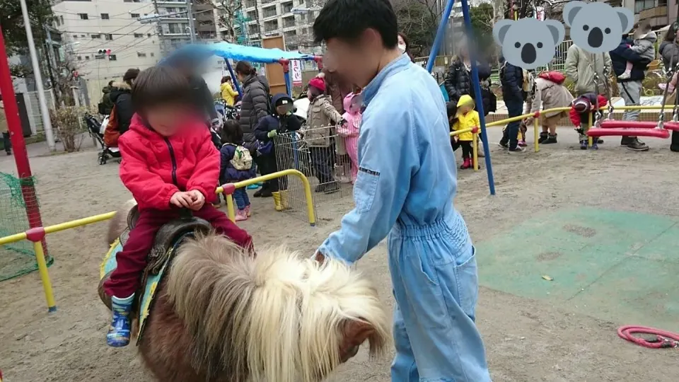 ポニー乗馬体験